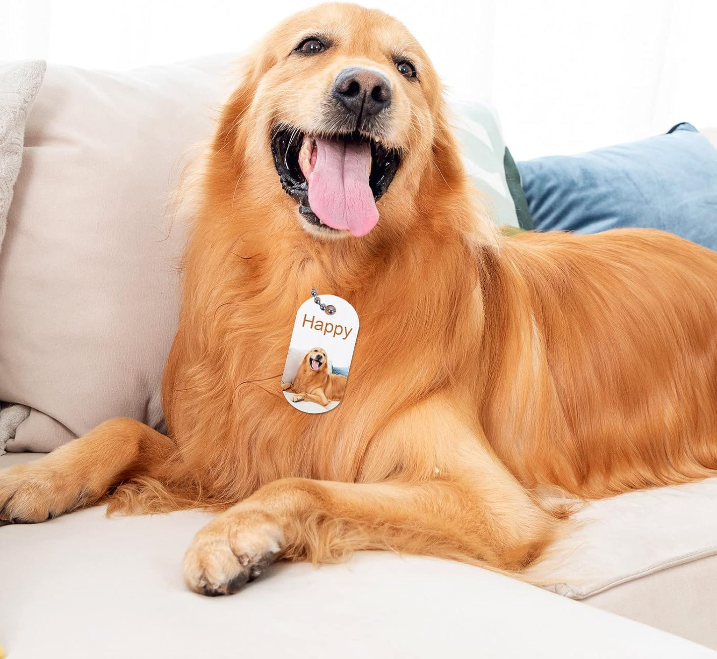 DOG TAG NECKLACE (Easy Upload)