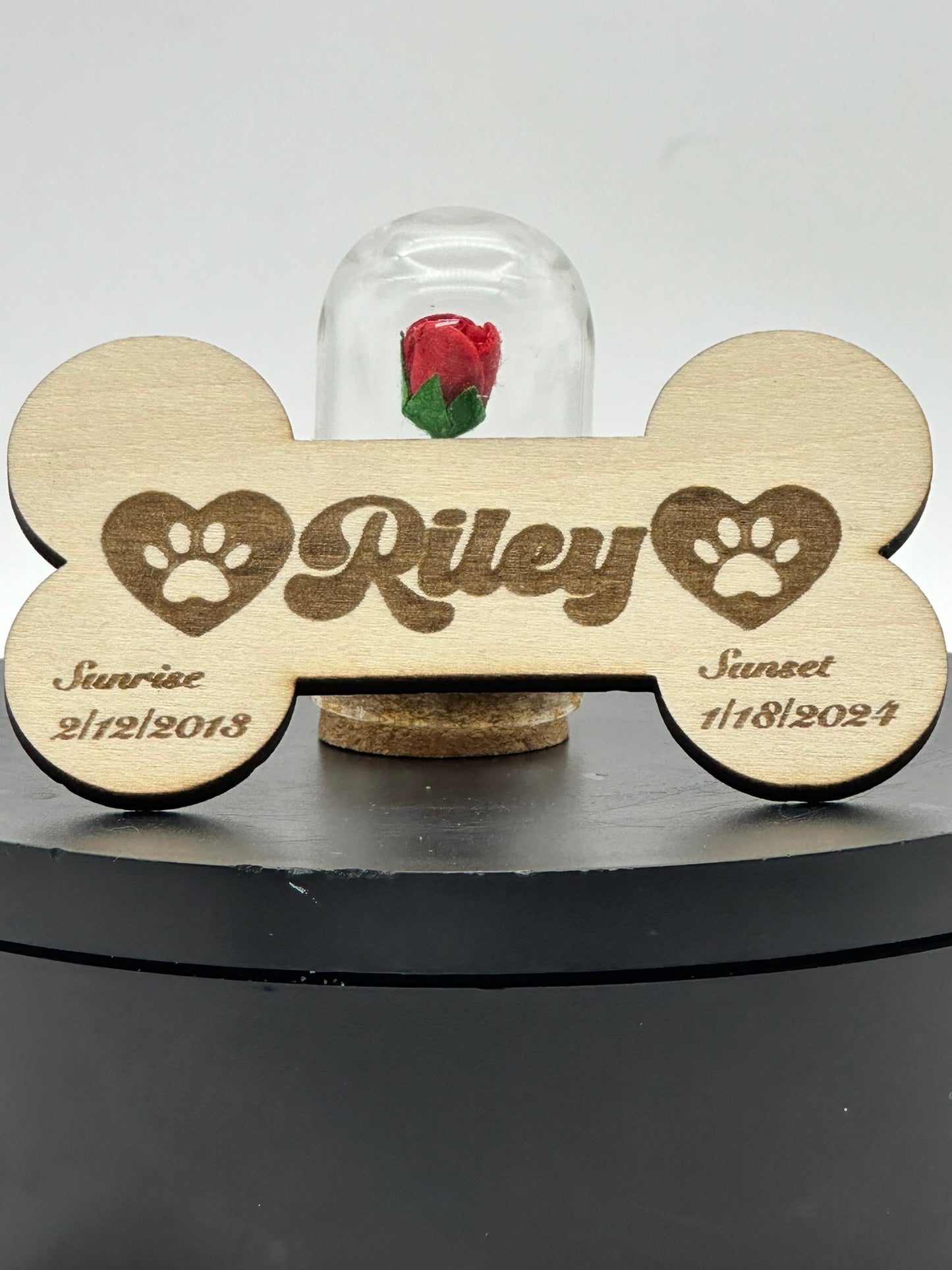 🐾 Pet Memorial Shadowbox