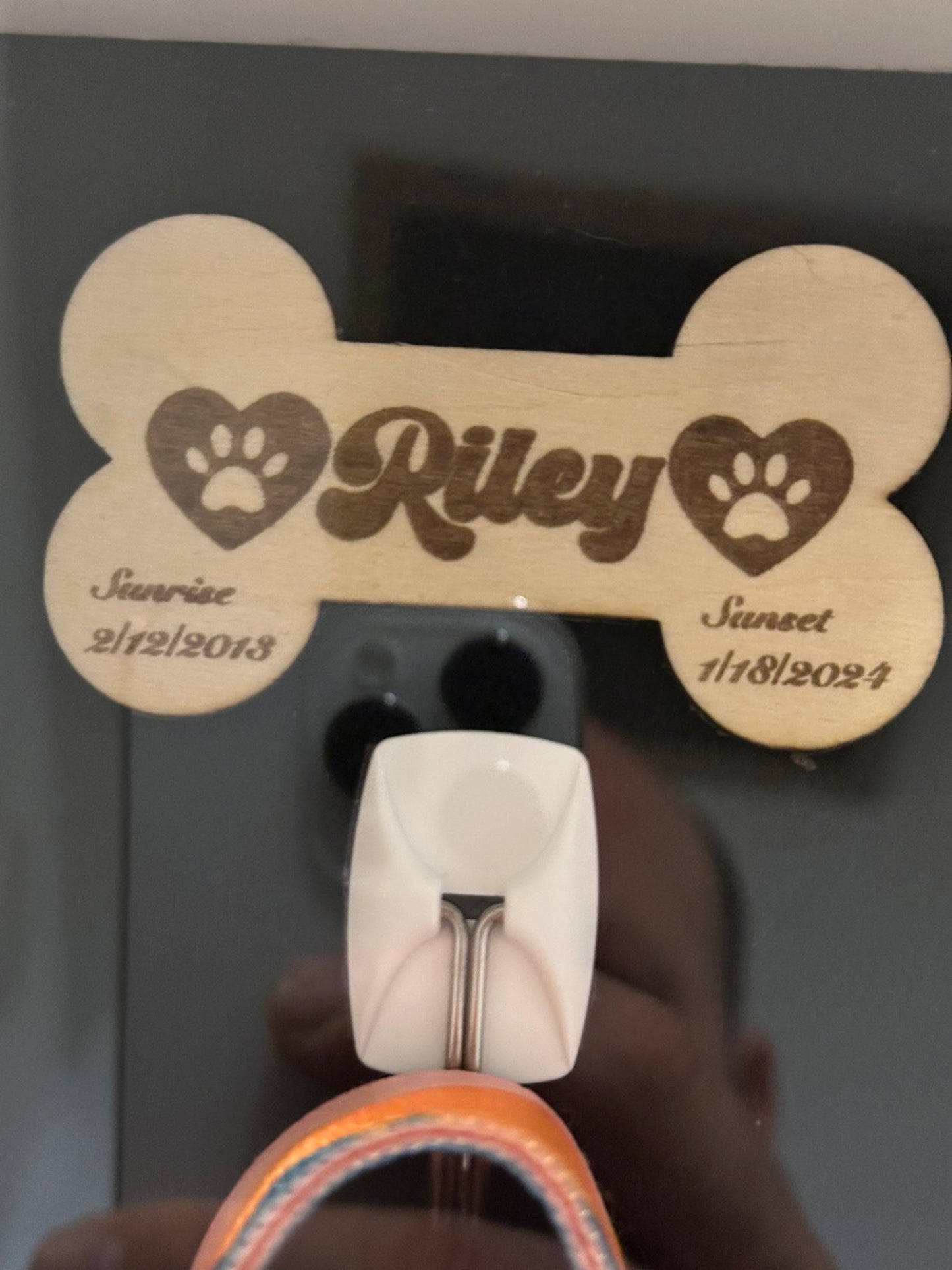 🐾 Pet Memorial Shadowbox