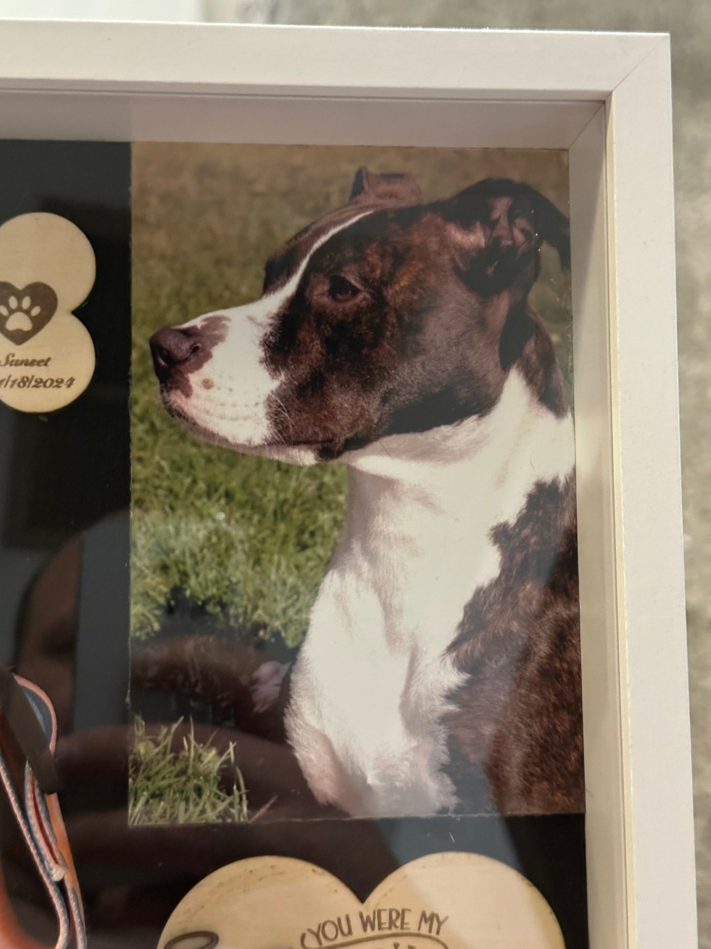 🐾 Pet Memorial Shadowbox