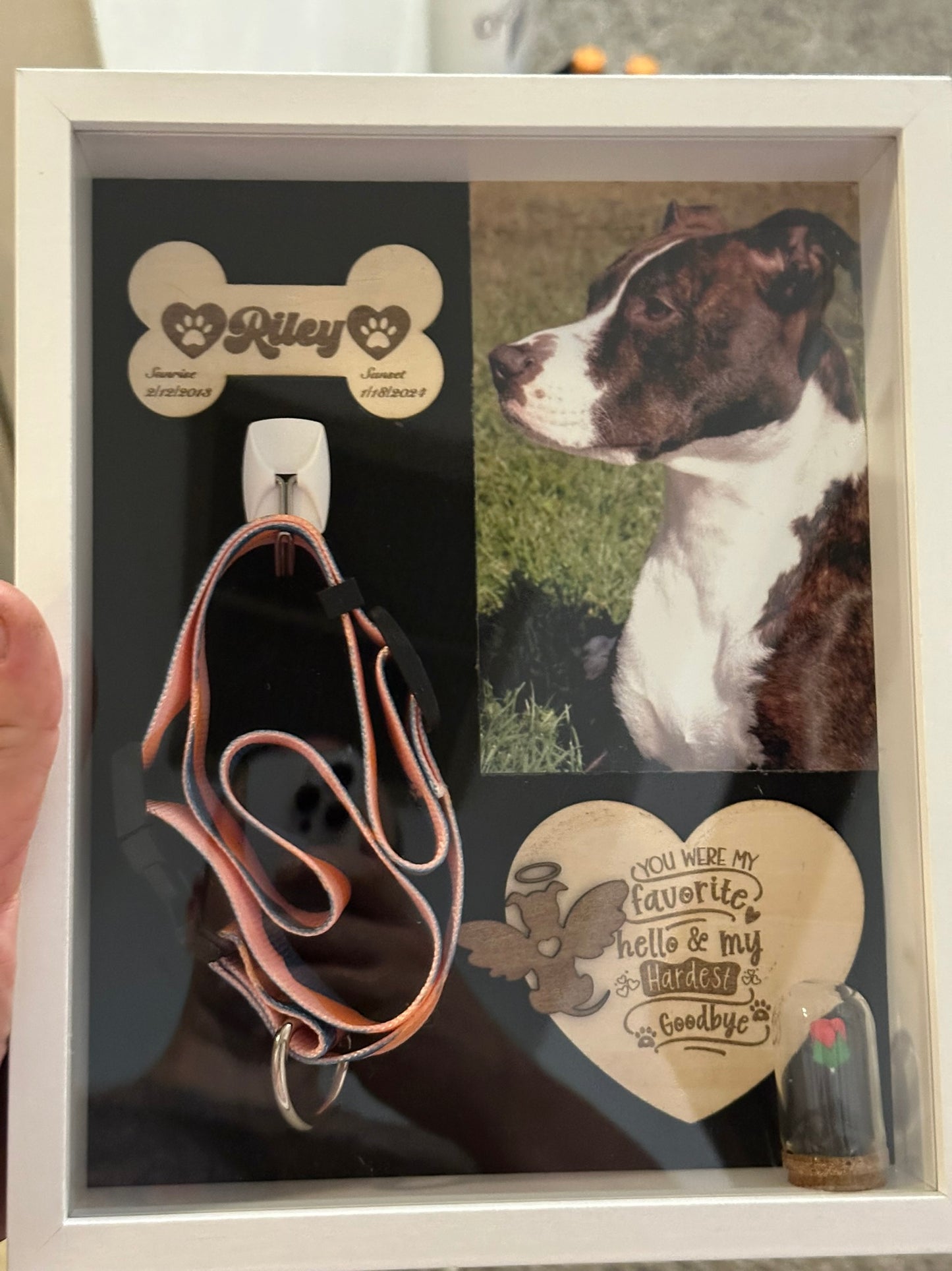 🐾 Pet Memorial Shadowbox