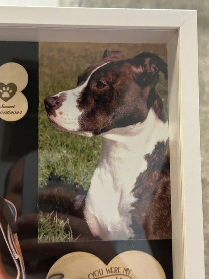 🐾 Pet Memorial Shadowbox