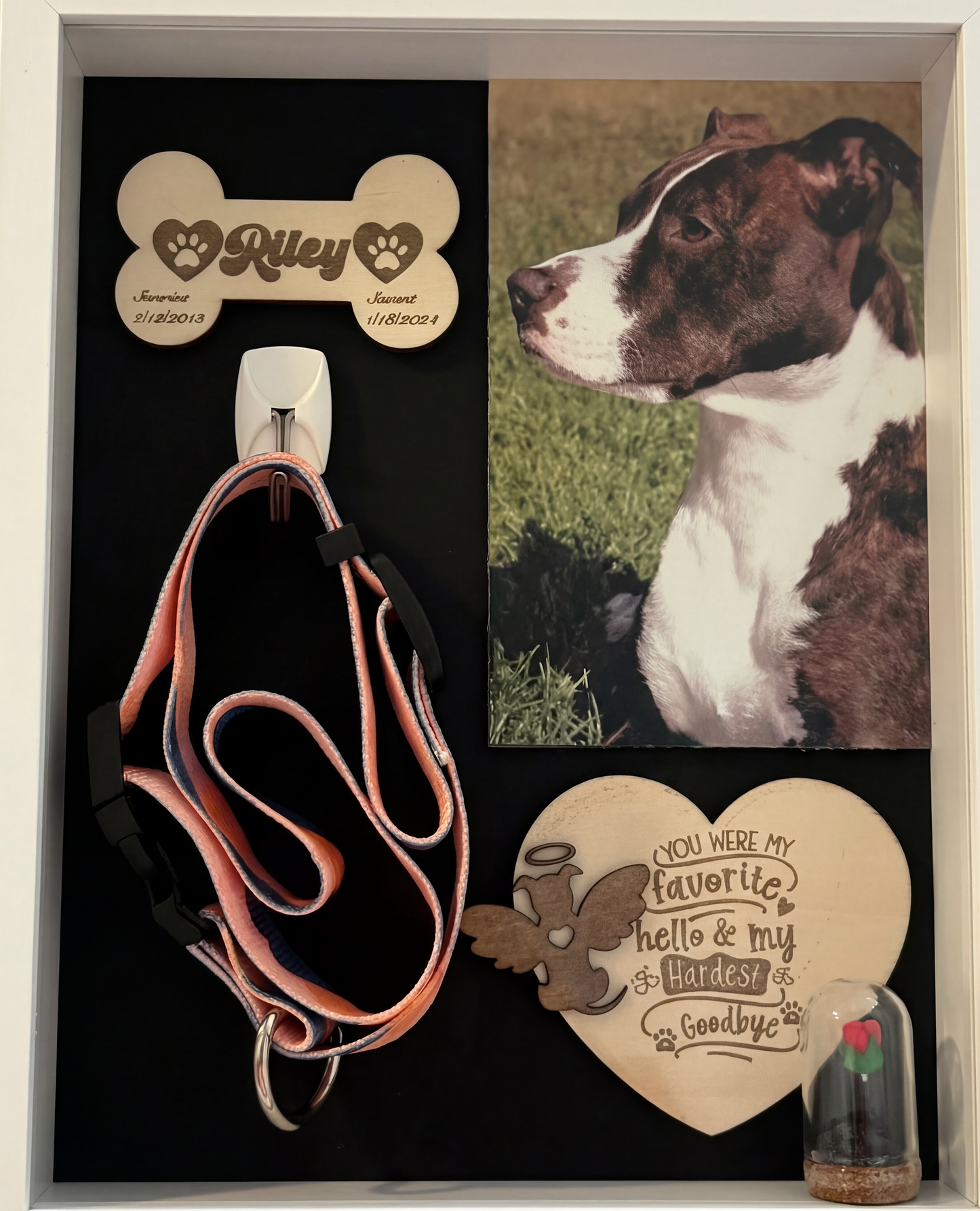 🐾 Pet Memorial Shadowbox (Dog)