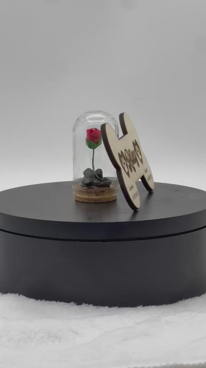 🐾 Pet Memorial Shadowbox